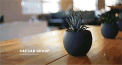 Desktop Screenshot of caesargroup.org